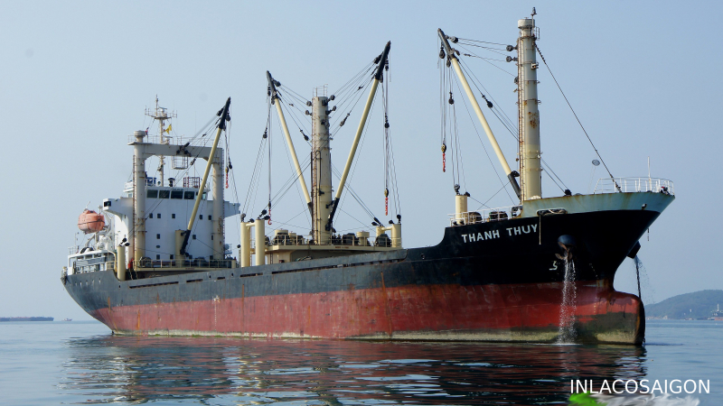 MV THANH THUY